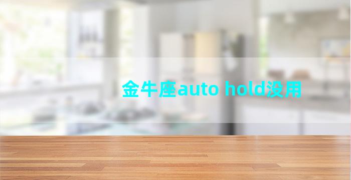 金牛座auto hold没用